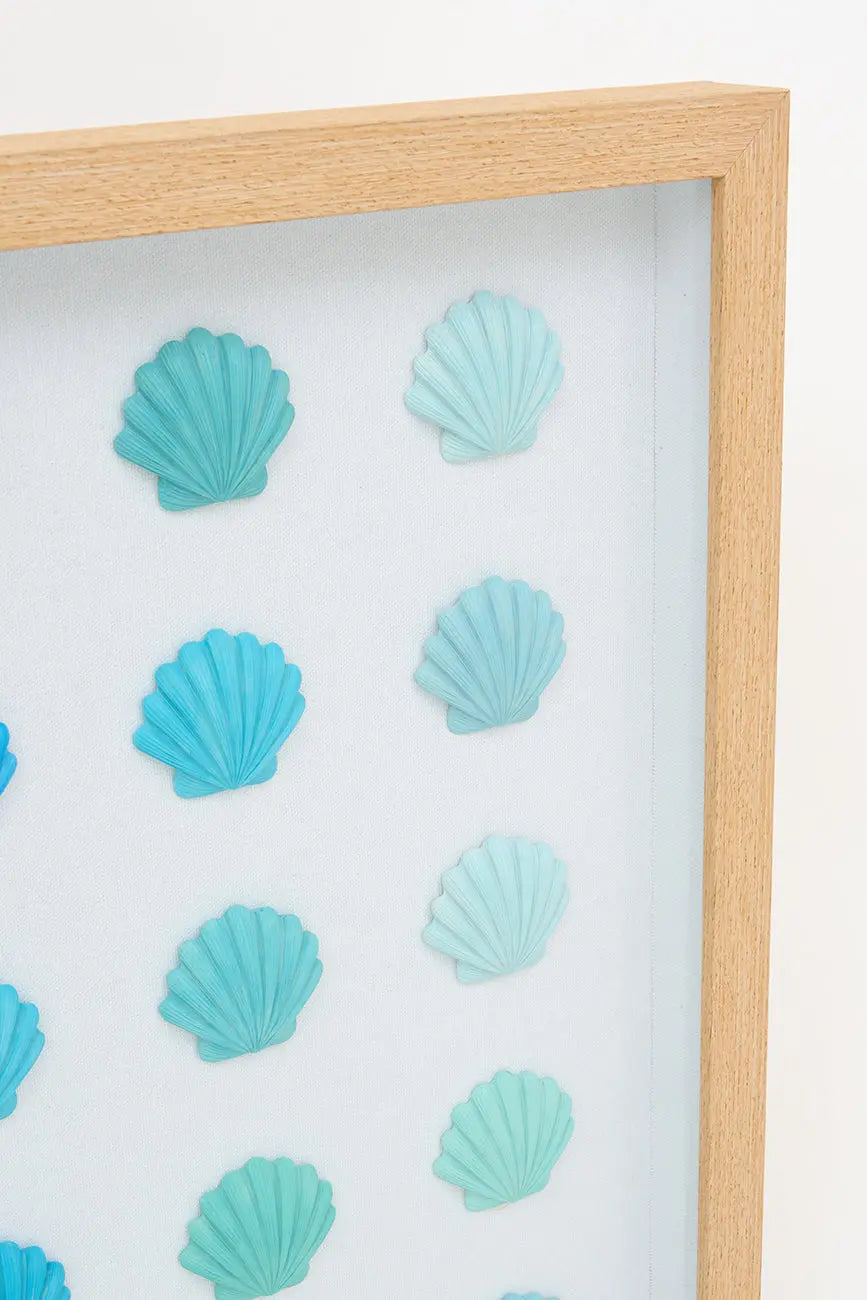 Cuadro de conchas marinas