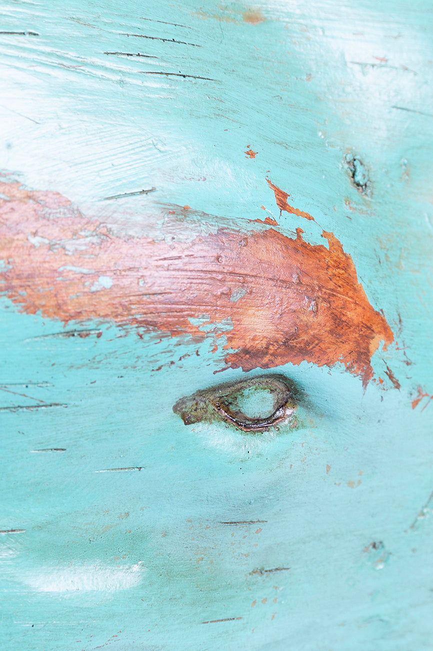 Cachalote grande con base - D1457