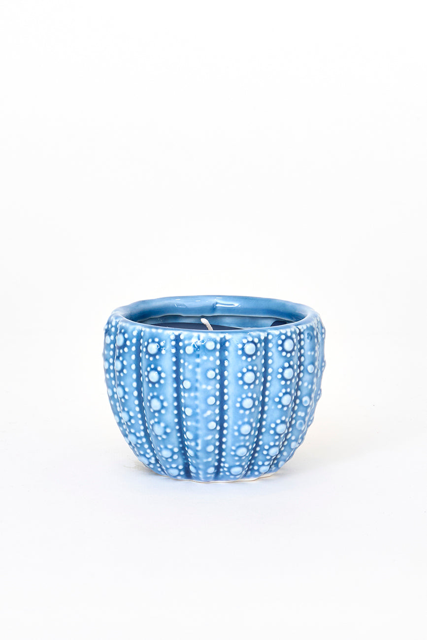 Vela decorativa en erizo marino Ø: 8,8 cm