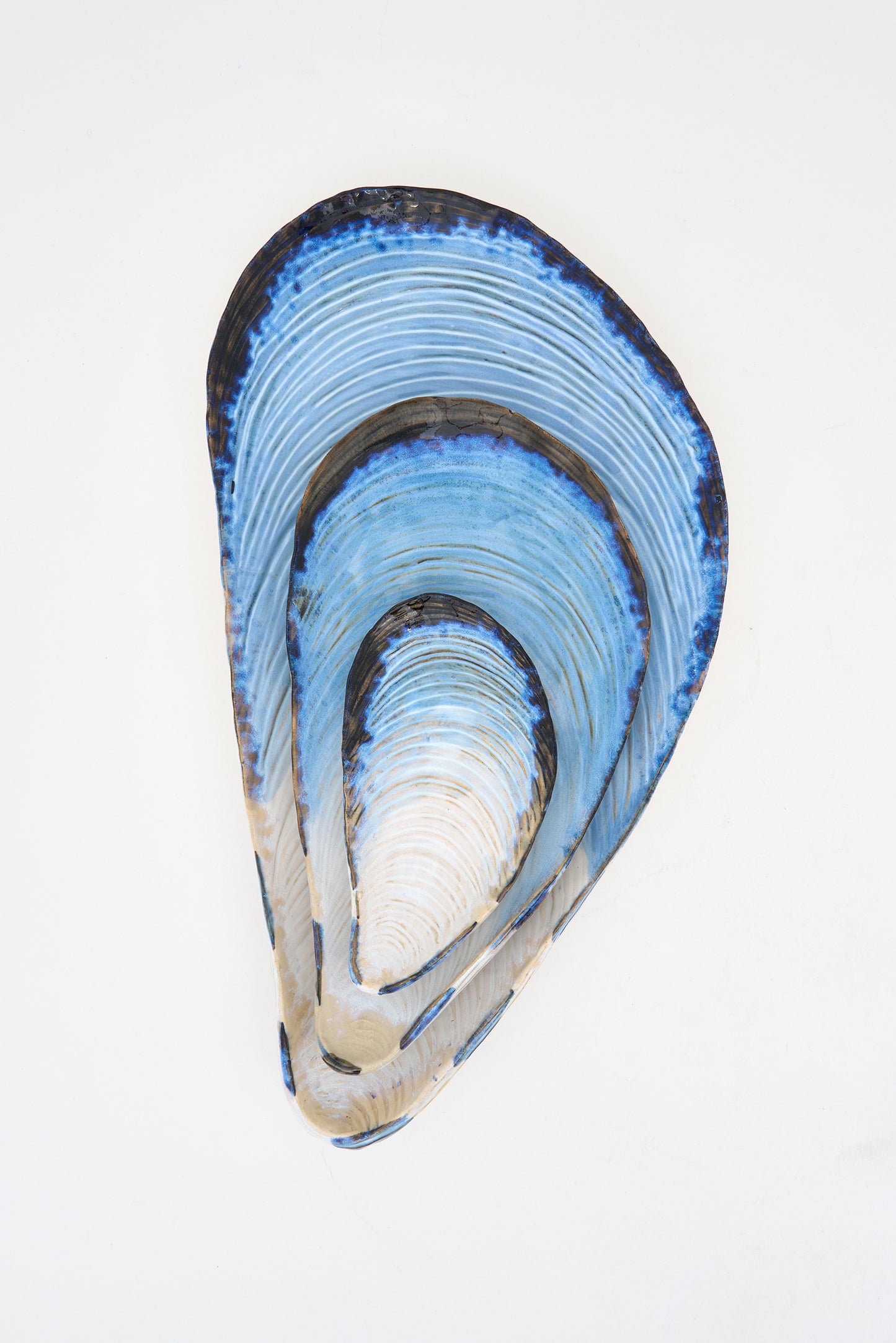 Bandeja con forma de mejillón L: 37,3 cm