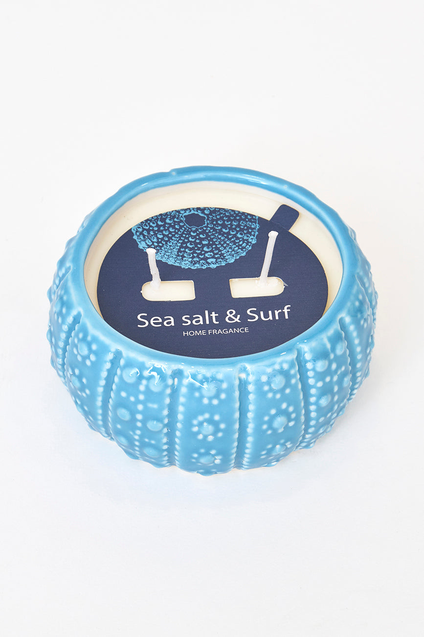 Vela en erizo de mar