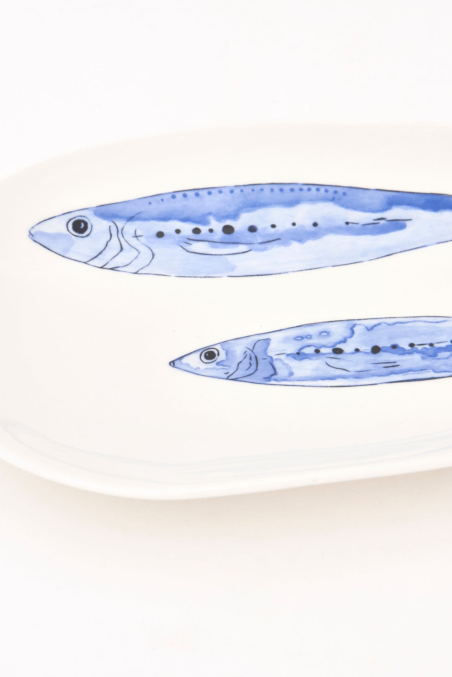 Arrain urdinak dituen forma irregularreko erretilua