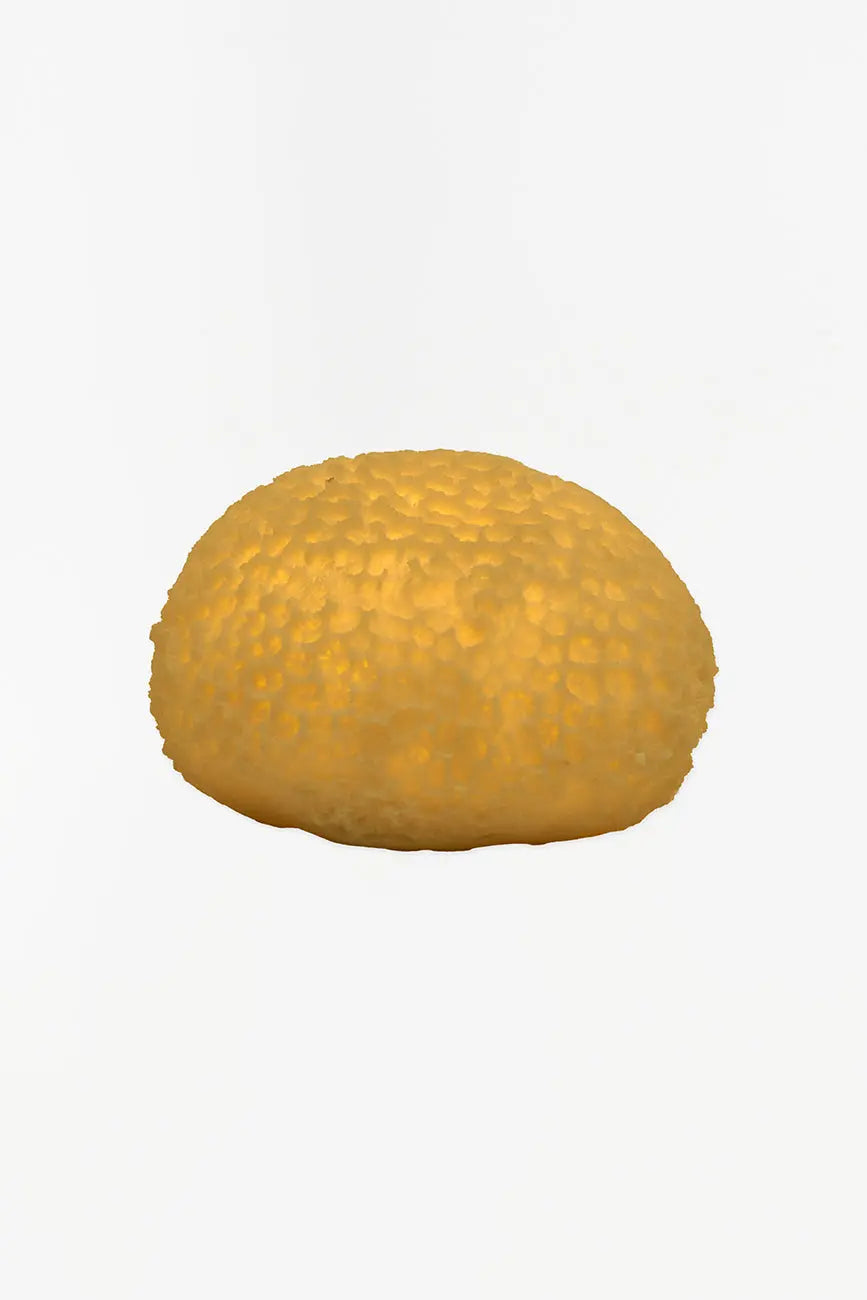 Lámpara con forma de coral marino