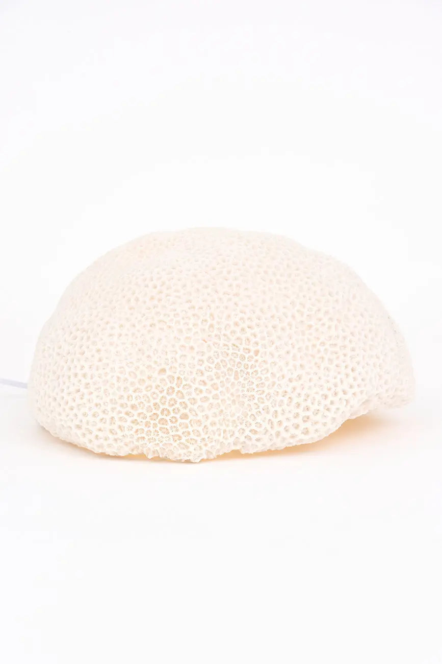 Lámpara de resina con forma de coral