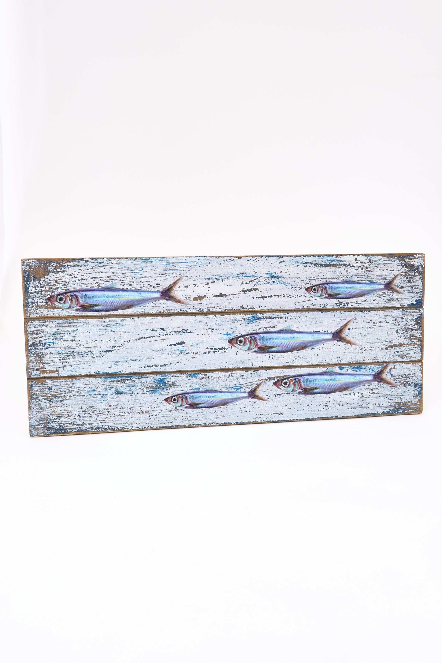 Cuadro de madera con un banco de peces pintado