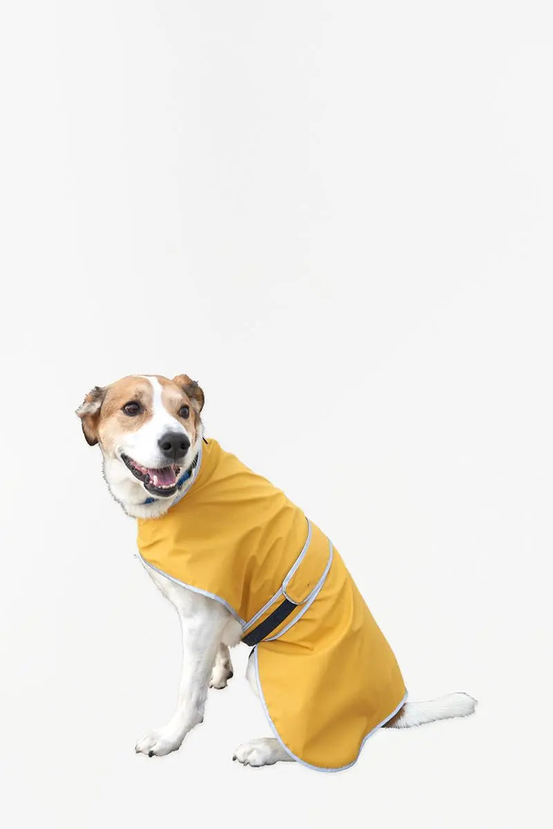 Yellow Waterproof Pet Coat, Size M