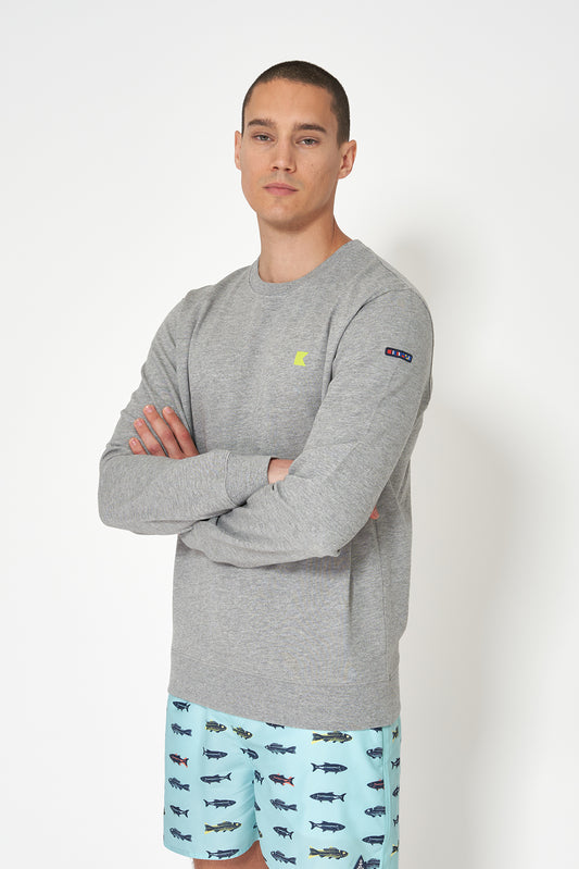 Sudadera de algodón Terry y gráfico banderas