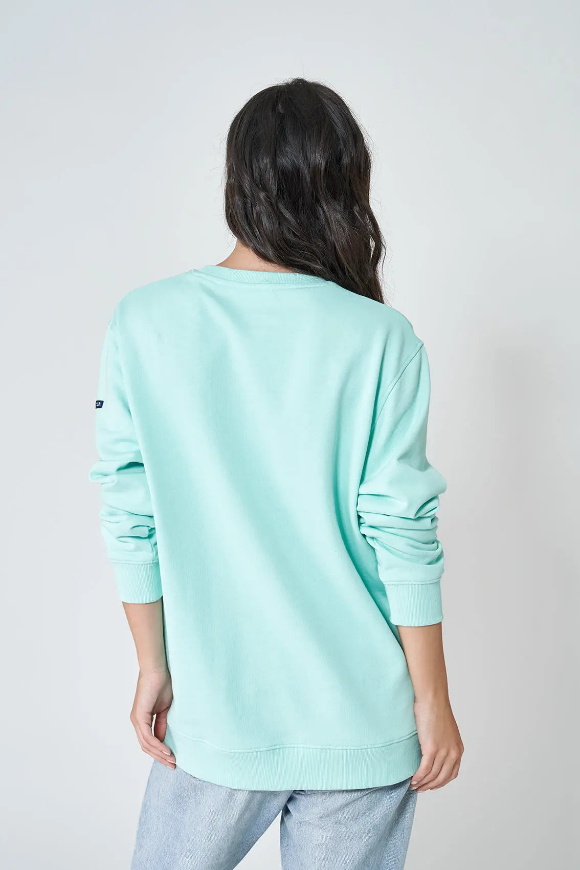 Sweat-shirt ou pull classique, 100% coton terry