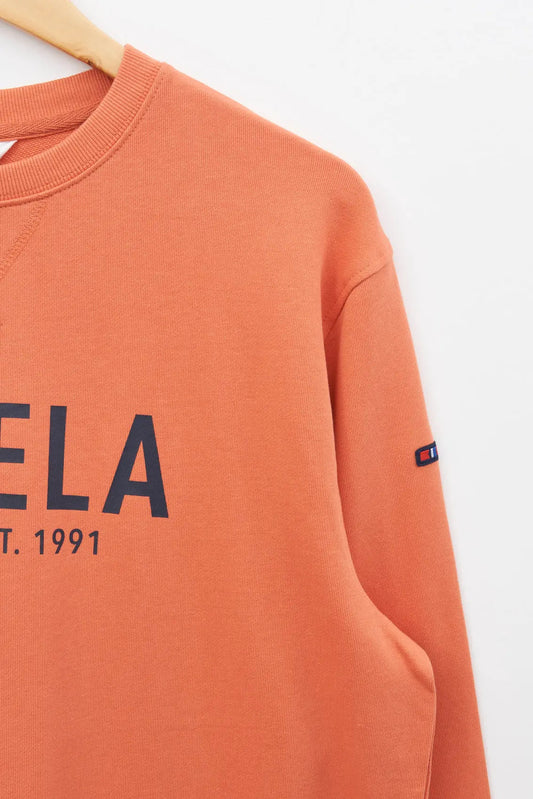 Sweat-shirt ou pull classique, 100% coton terry