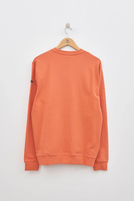 Sweat-shirt ou pull classique, 100% coton terry
