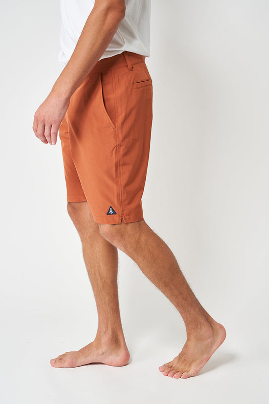 Amphibian bermuda