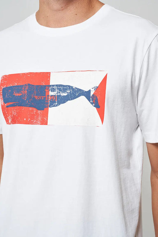 T-shirt manches courtes en coton, cachalot