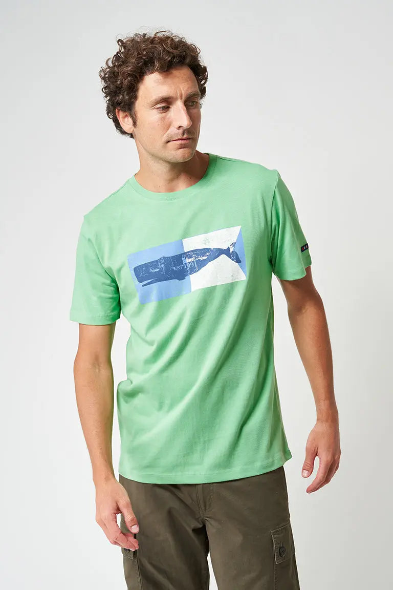 T-shirt manches courtes en coton, cachalot