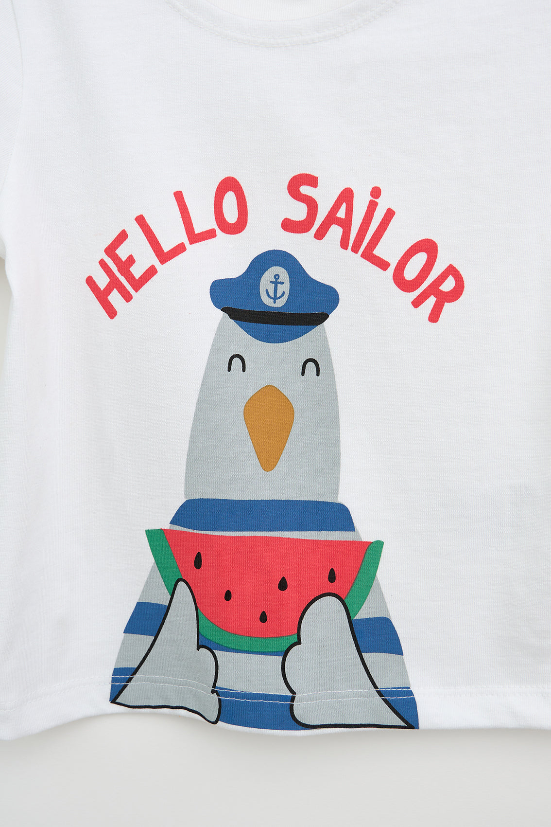 Seagull watermelon baby t-shirt