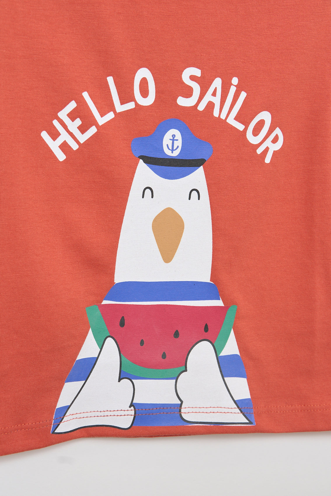 Seagull watermelon baby t-shirt
