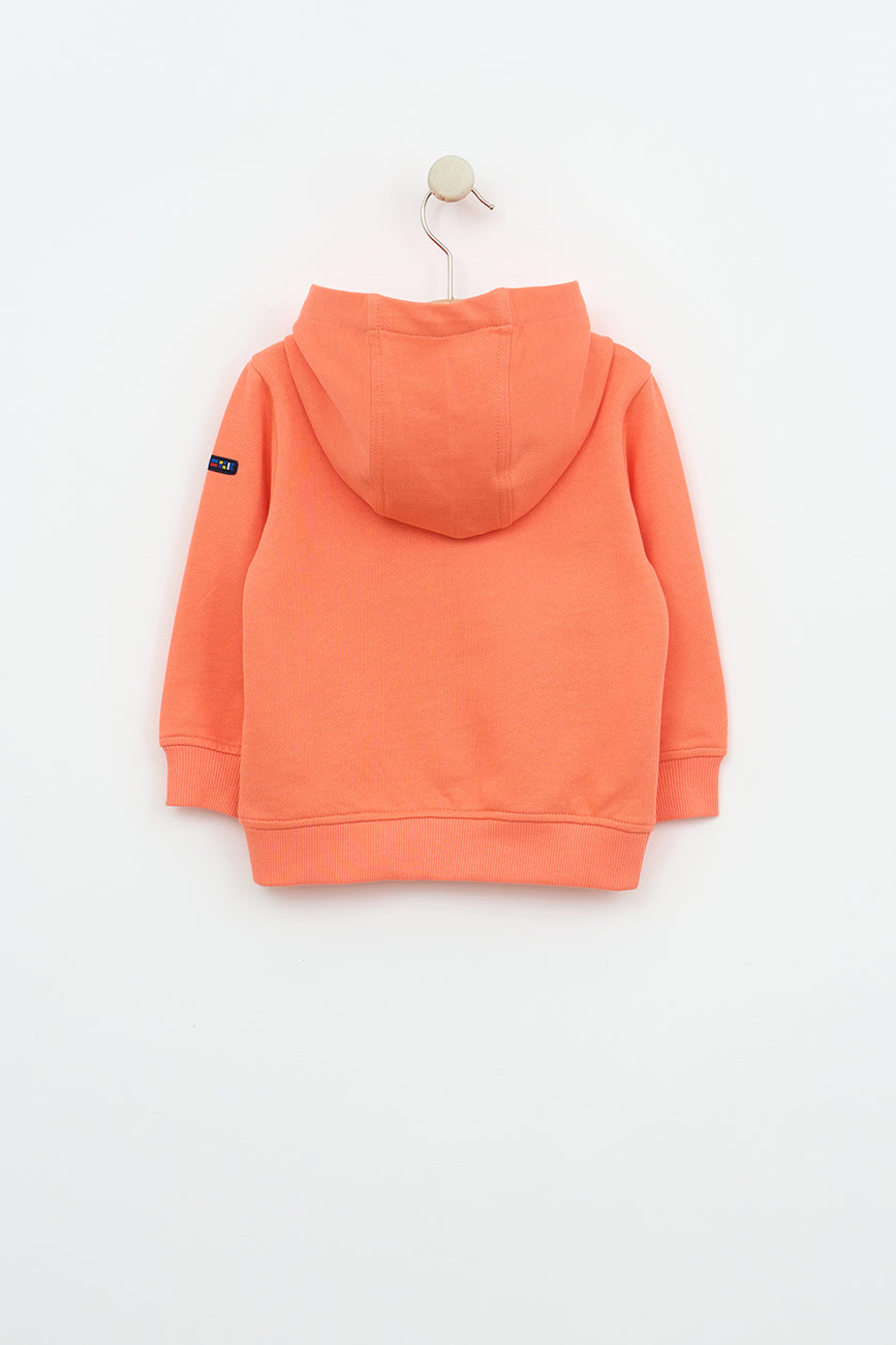 Veste à capuche en coton