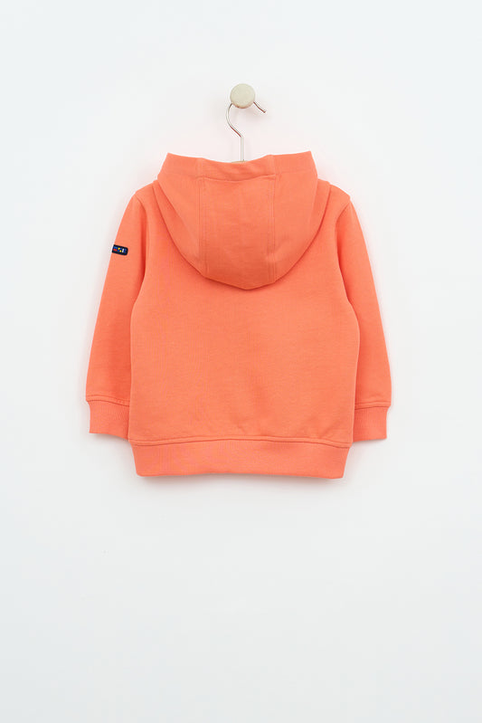 Chaqueta bebé de algodón Terry con capucha