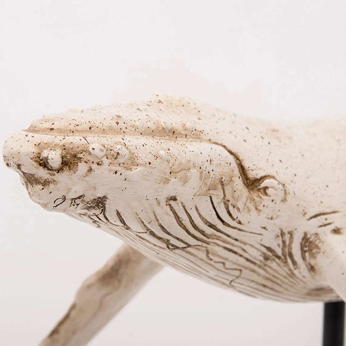 Ballena con base en resina blanca - D1940 Batela