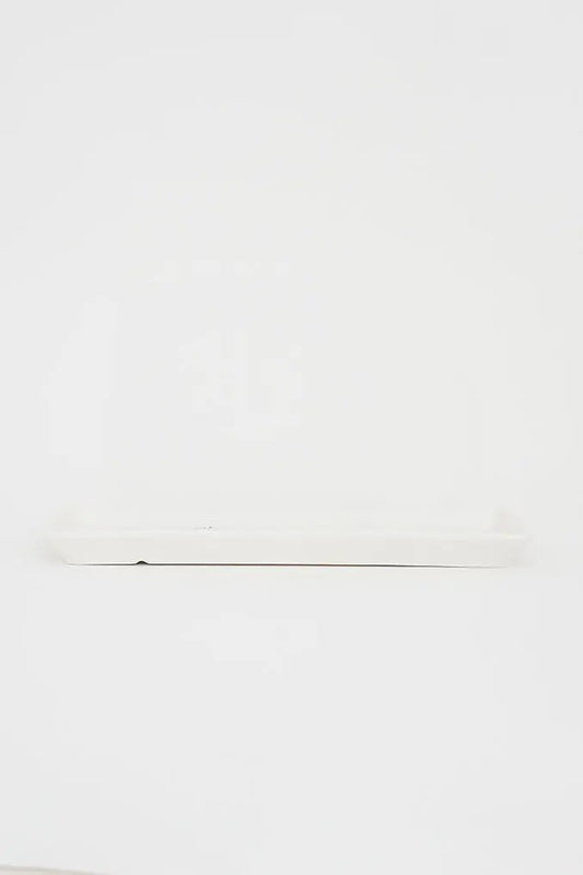 Porcelain tray with elongated fish