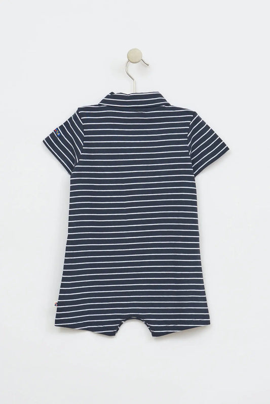 Baby sailor diver