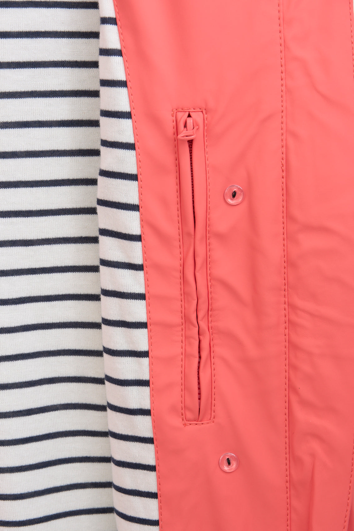 Forrudun zira nautikoa