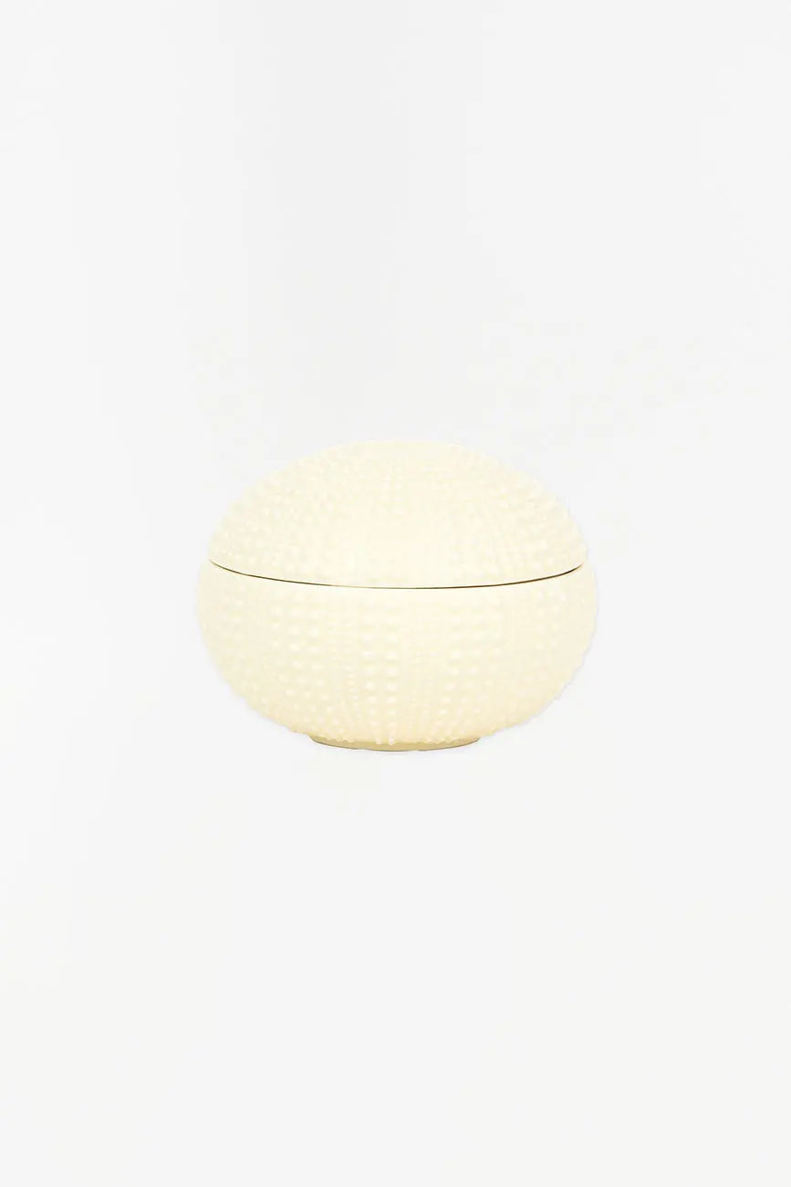 Caja con forma de erizo de mar en cerámica