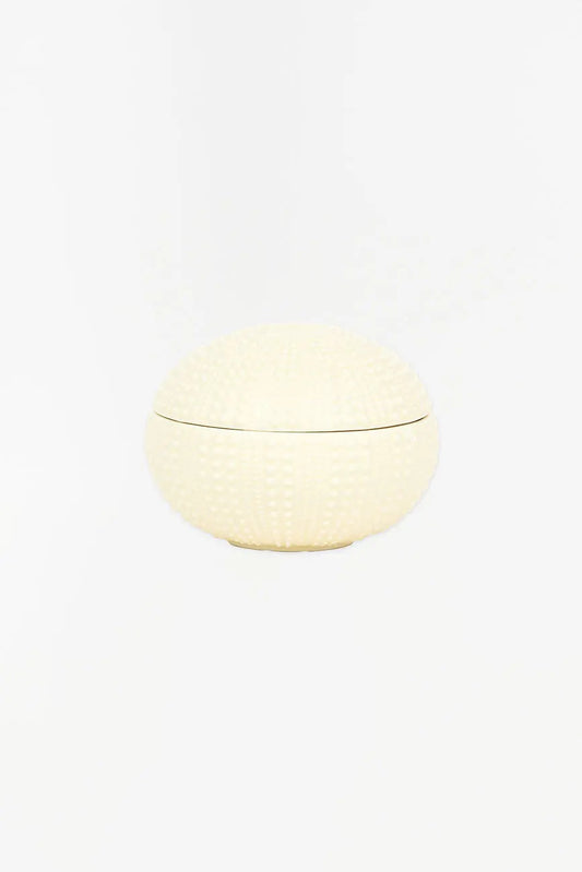 Caja con forma de erizo de mar en cerámica