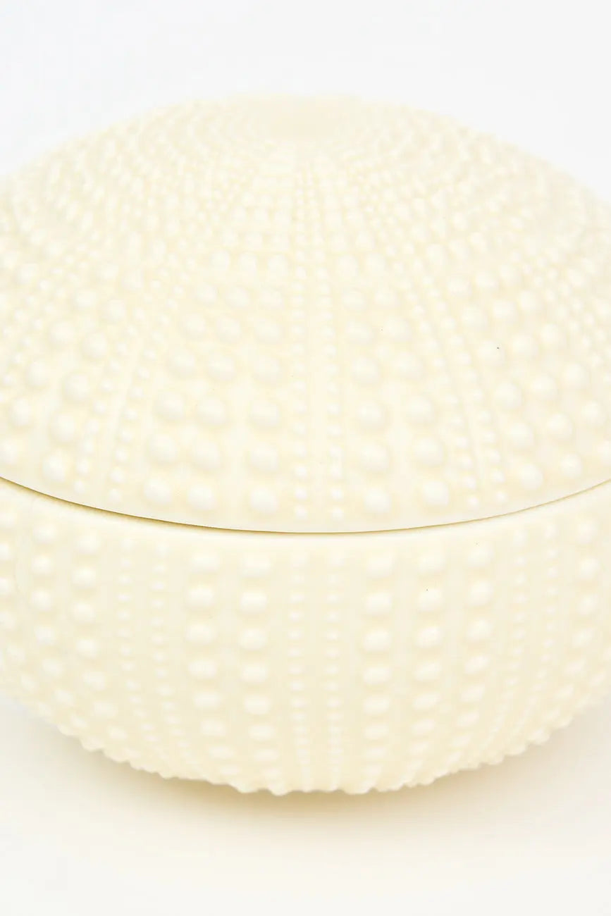 Caja con forma de erizo de mar en cerámica