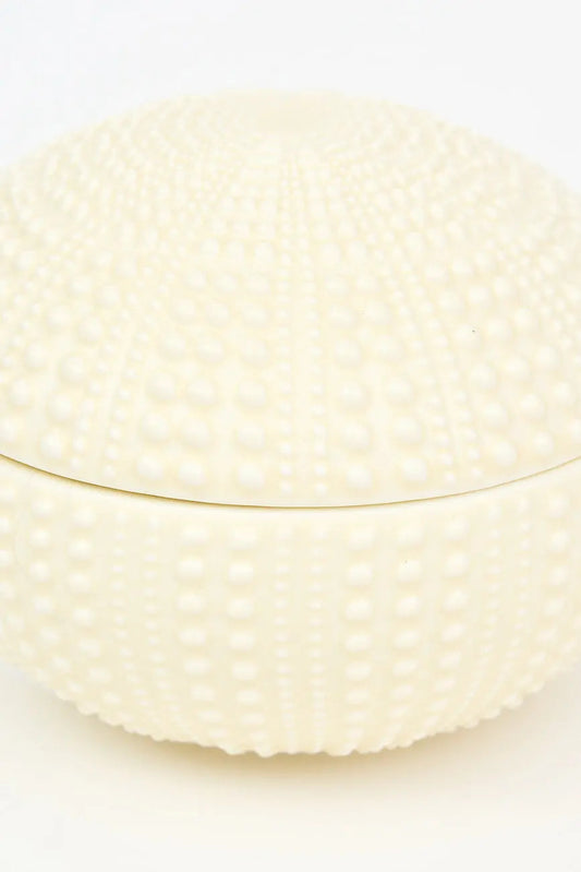 Caja con forma de erizo de mar en cerámica