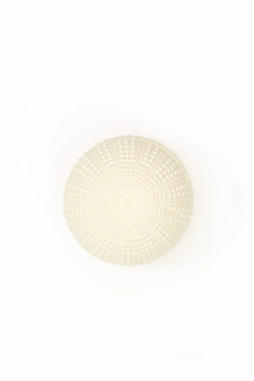 Caja con forma de erizo de mar en cerámica