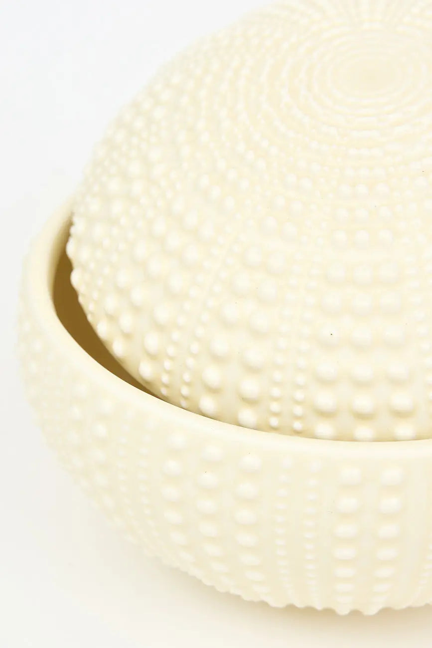 Caja con forma de erizo de mar en cerámica