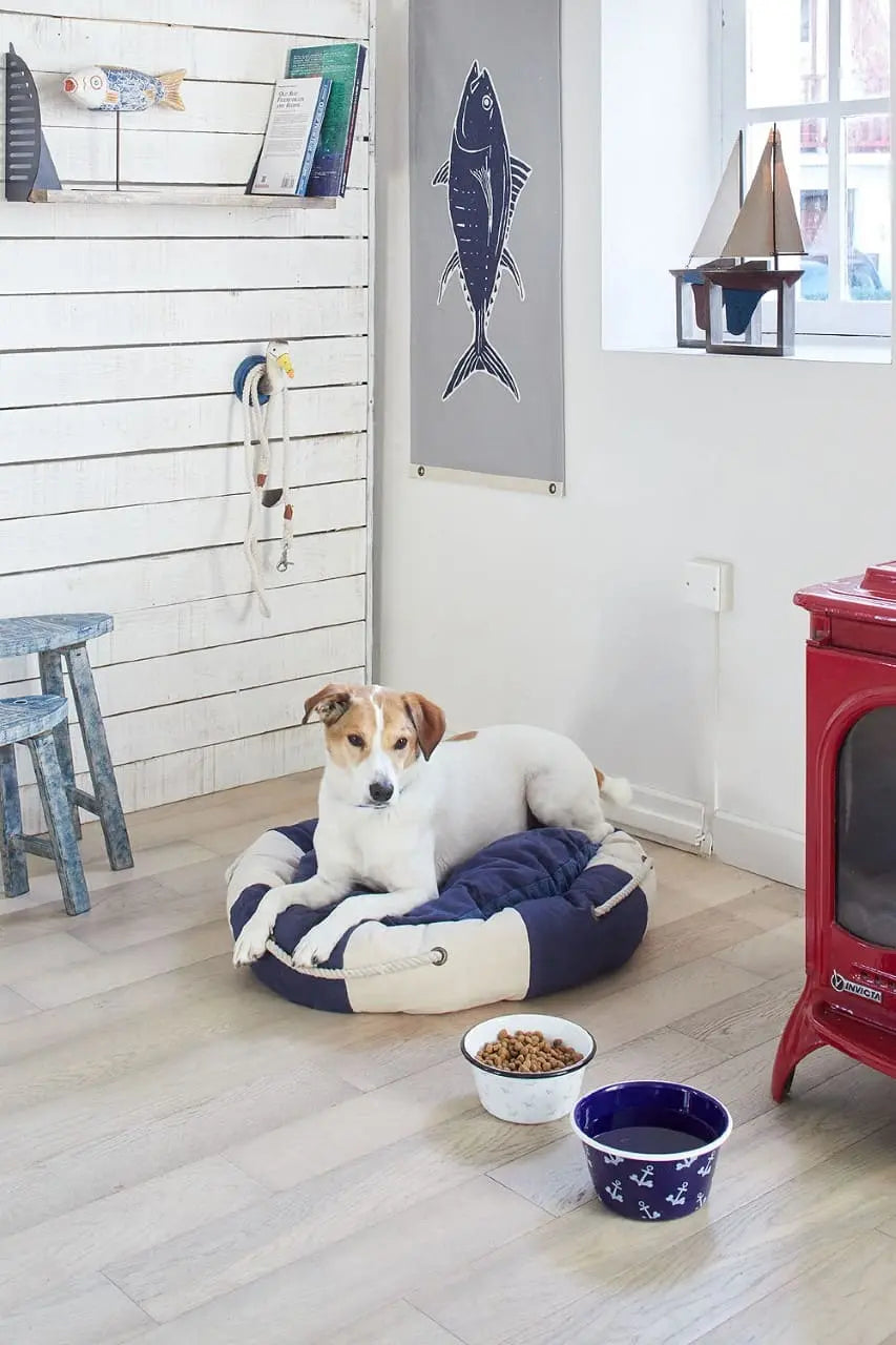 Correa náutico para perro - Batela