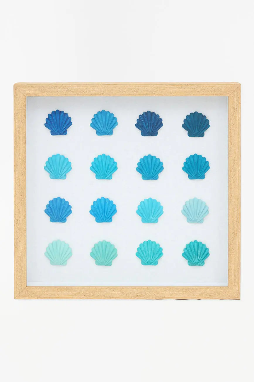 Cuadro de conchas marinas
