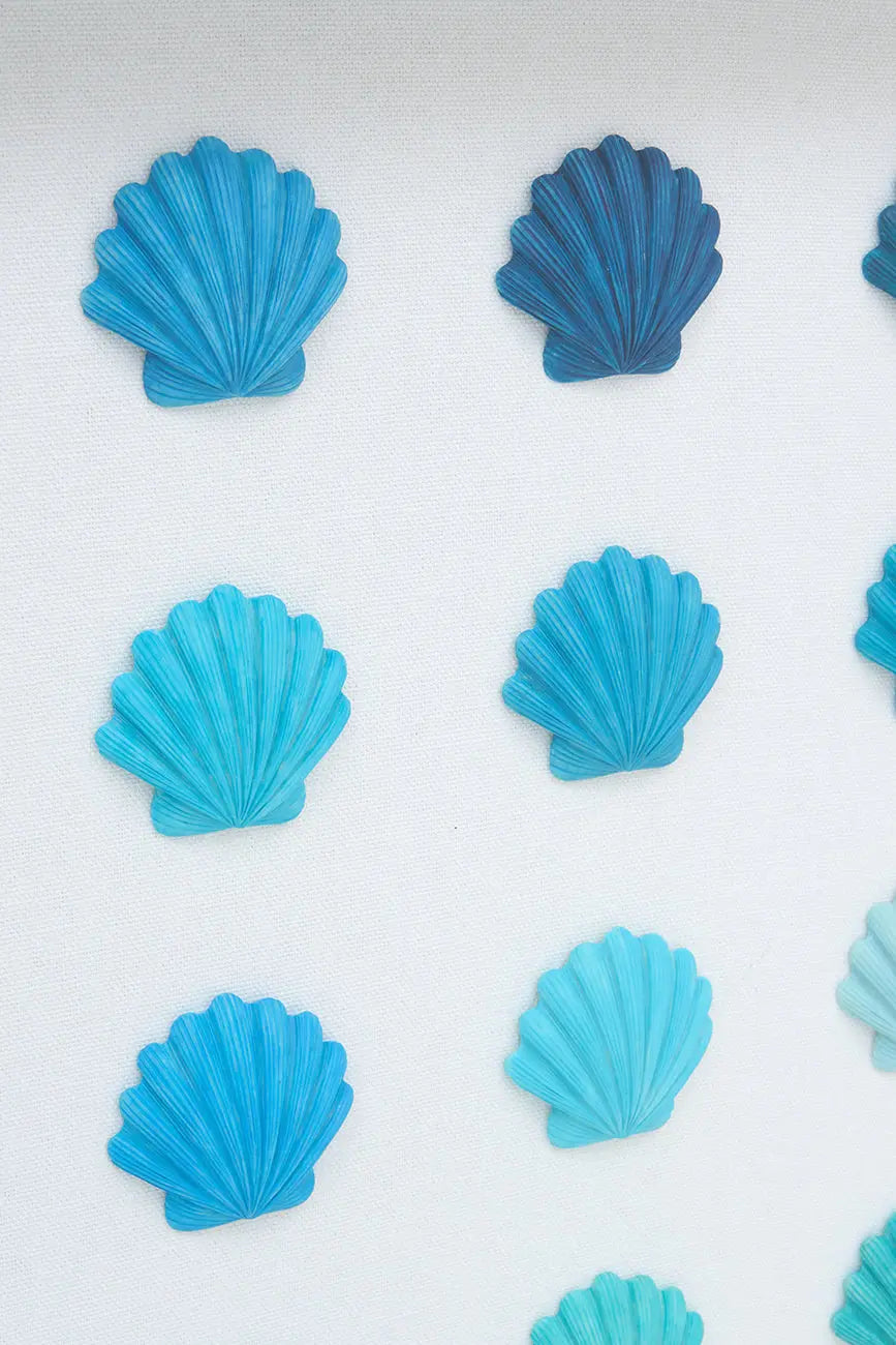 Cuadro de conchas marinas