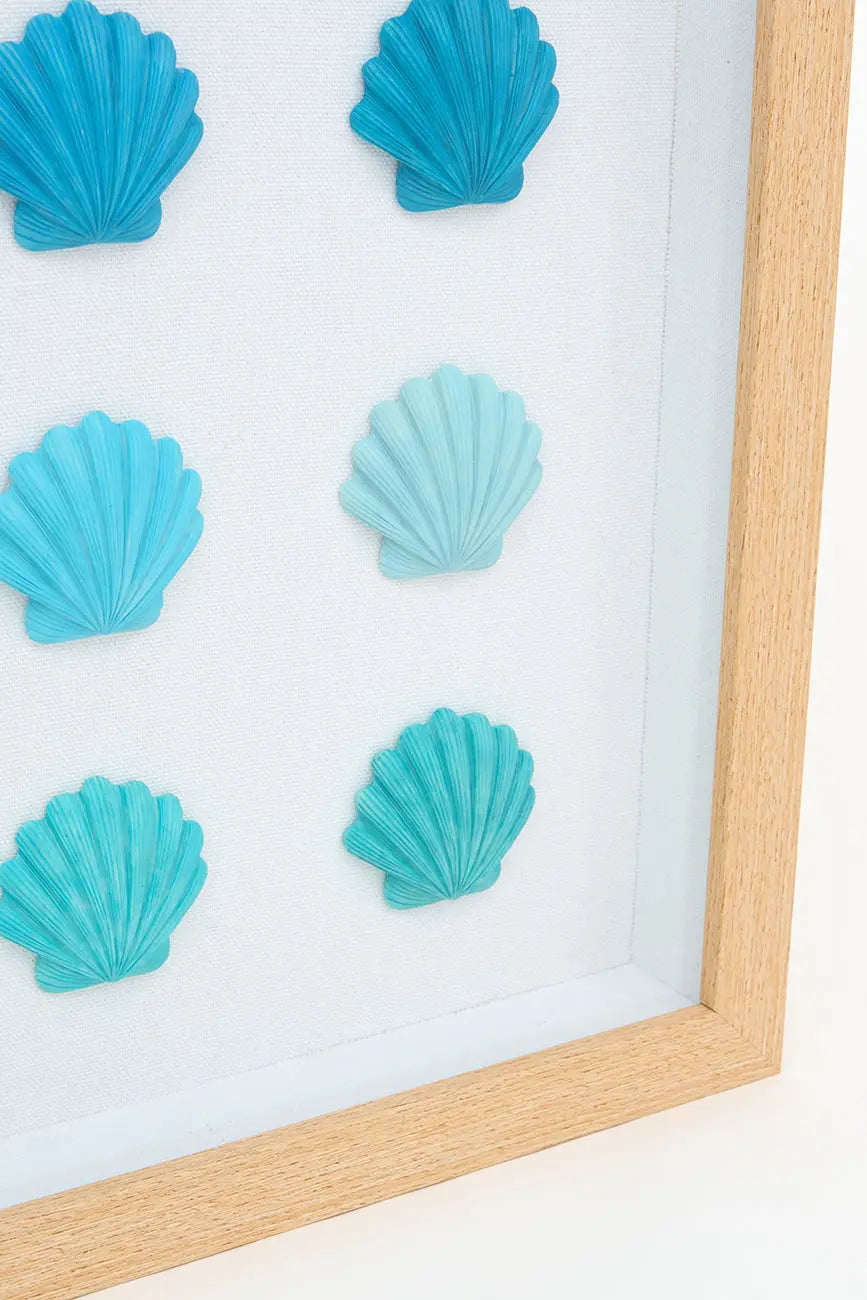 Cuadro de conchas marinas