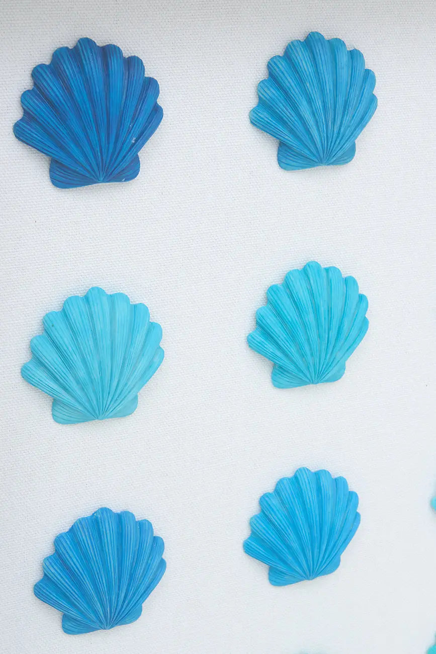 Cuadro de conchas marinas