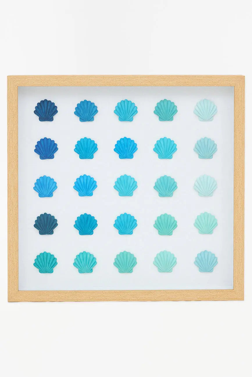 Cuadro de conchas marinas