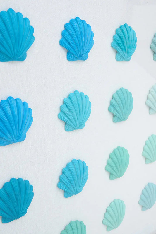 Cuadro de conchas marinas