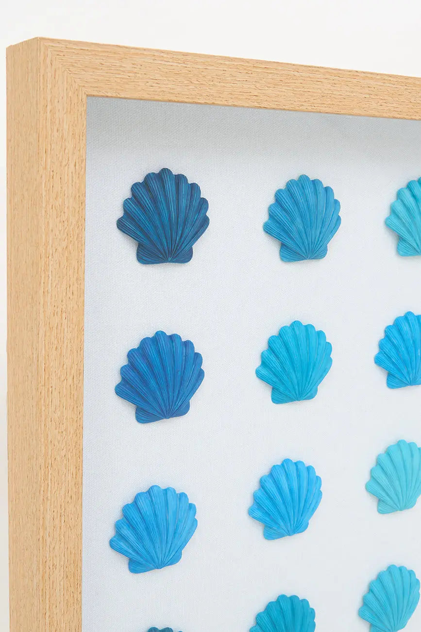 Cuadro de conchas marinas