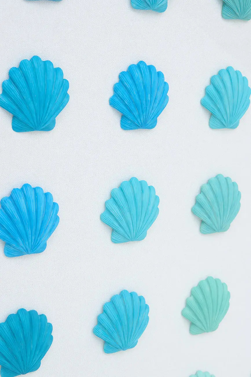 Cuadro de conchas marinas