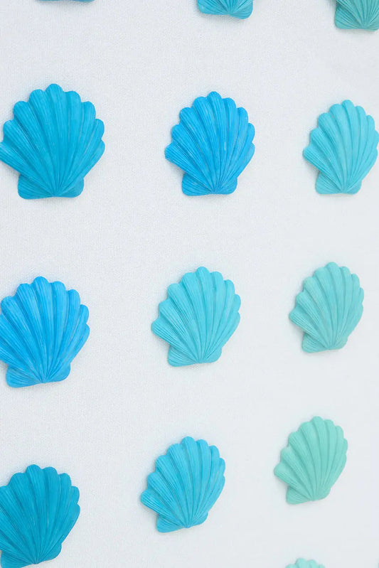 Cuadro de conchas marinas