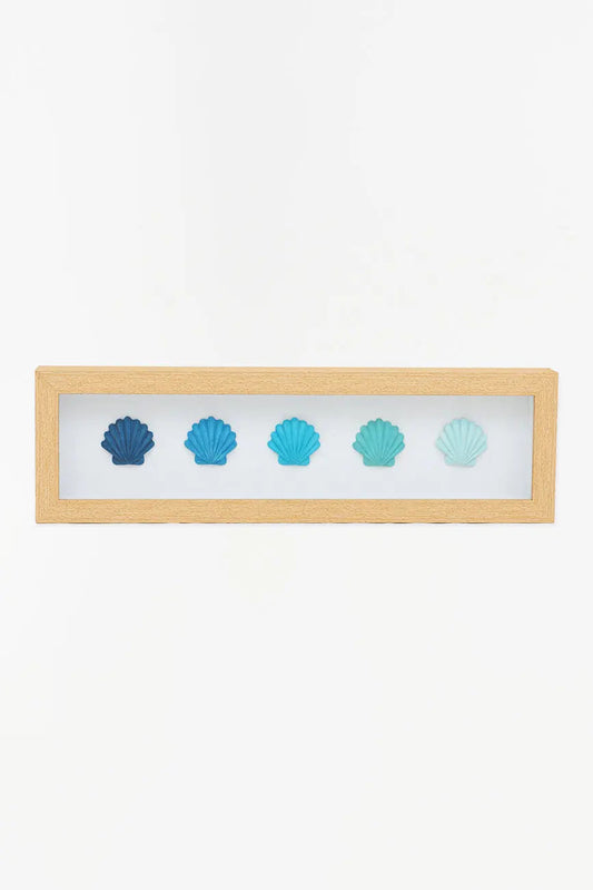 Cuadro de conchas marinas