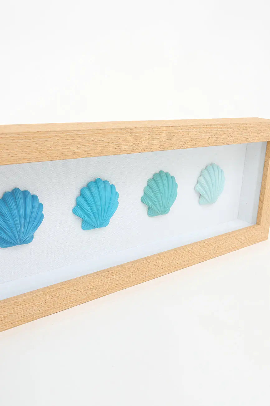 Cuadro de conchas marinas