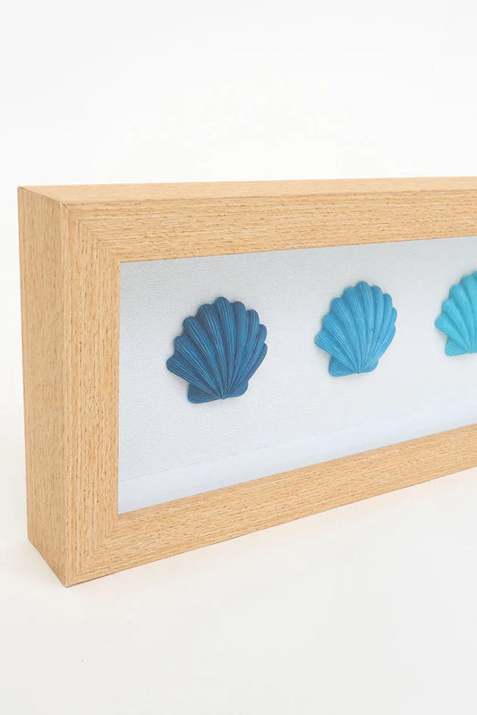 Cuadro de conchas marinas
