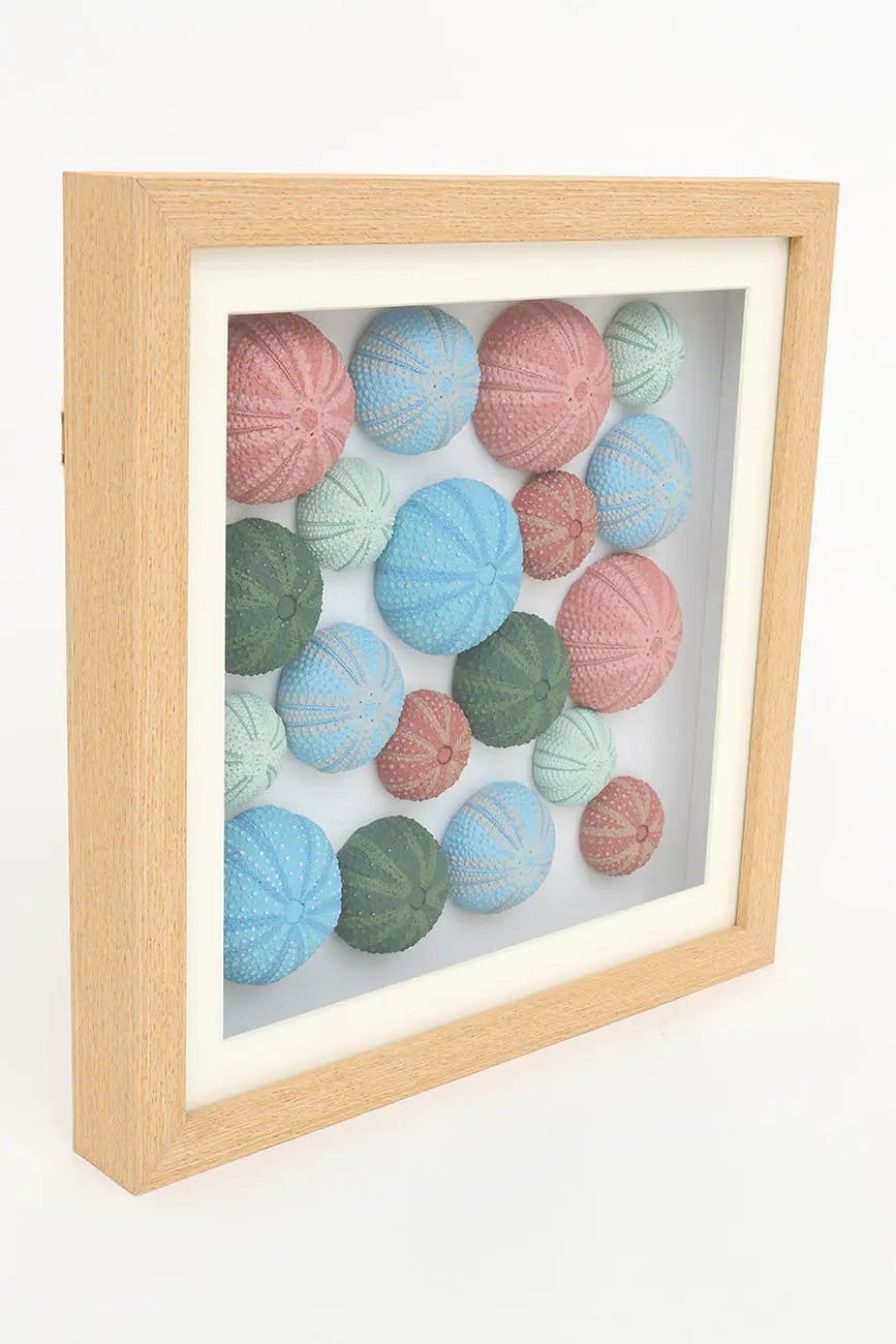 Cuadro de erizos de mar de colores