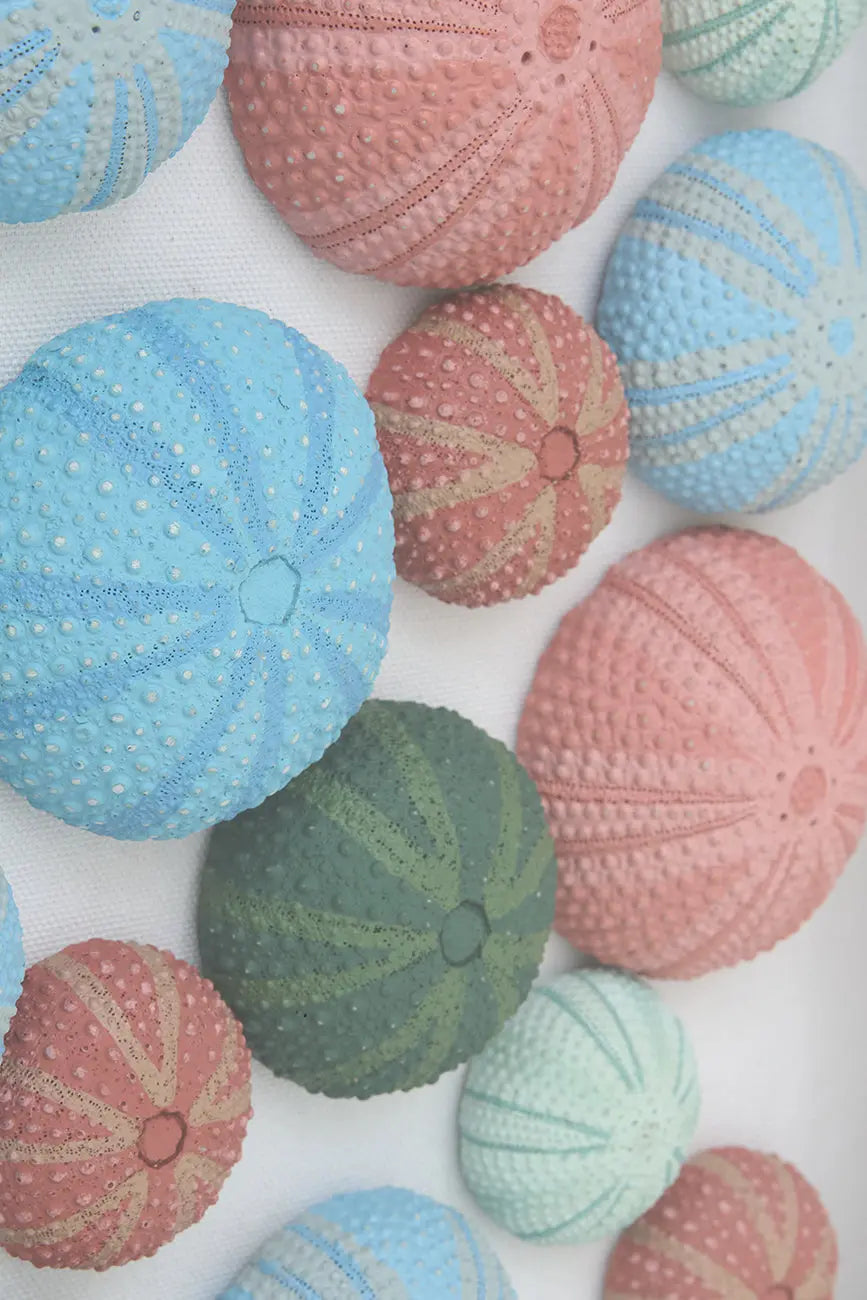 Cuadro de erizos de mar de colores