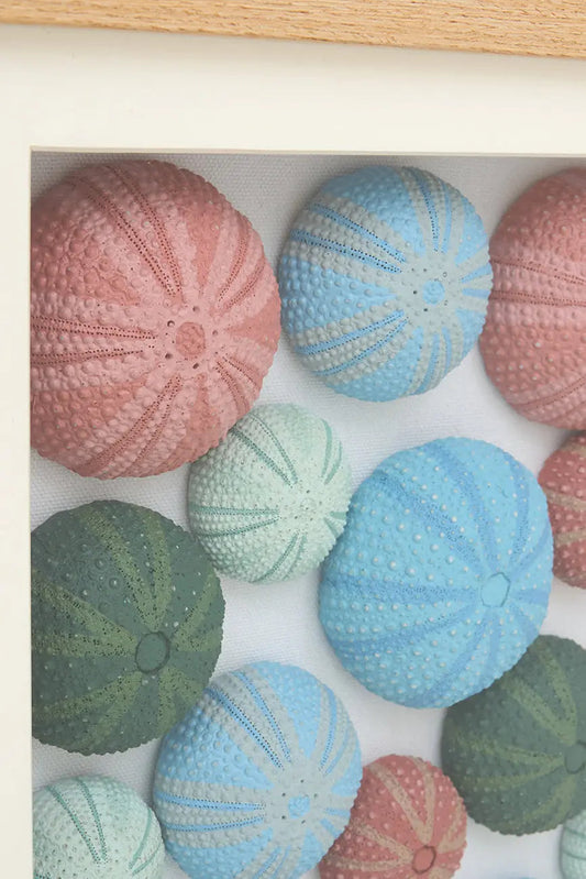 Cuadro de erizos de mar de colores