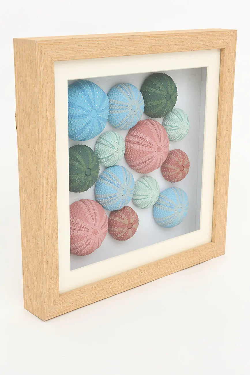 Cuadro de erizos de mar de colores, mediano