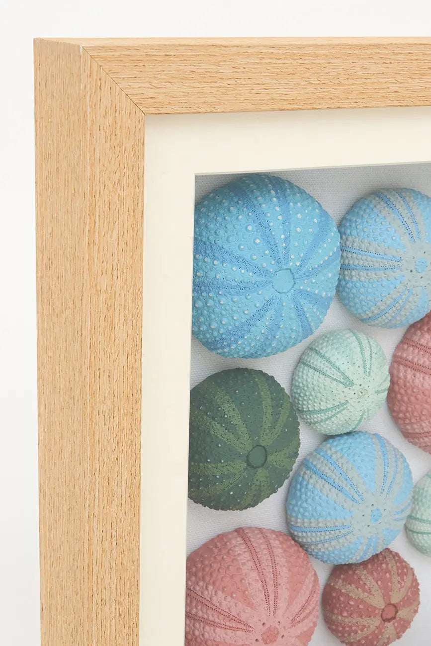 Cuadro de erizos de mar de colores, mediano