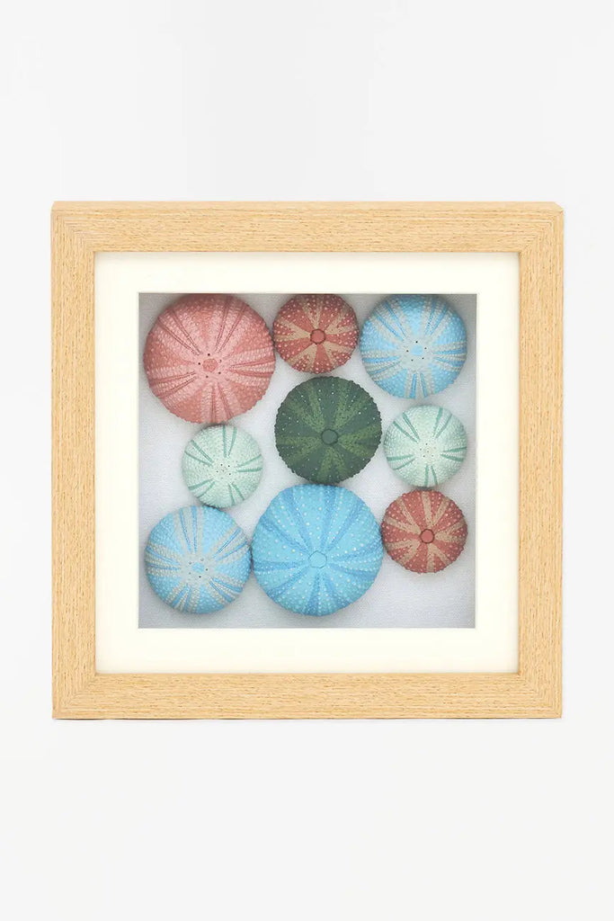 Cuadro de erizos de mar de colores